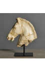 Γλυπτό "Monti's horse head" μπεζ σε μαύρο μεταλλικό στήριγμα