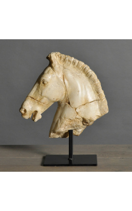Skulptur "Montis hästhuvud" beige på svart metall stöd