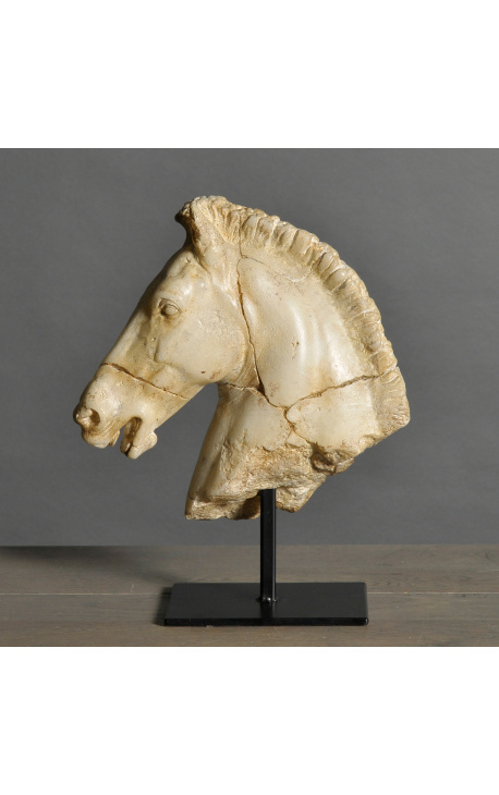 Skulptūra "Monti arklio galva" bežo spalvos ant juodojo metalo pagrindo