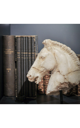 Escultura &quot;cabeça de cavalo de Monti&quot; bege sobre suporte de metal preto