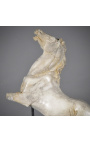 Escultura "Cavall cabrillant" beix sobre suport metàl·lic negre