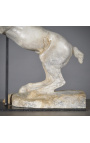 Scultura "Cavallo rampante" beige su supporto in metallo nero