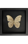Decoratieve frame op zwarte achtergrond met goud-gekleurd "Morfo Didius" de butterfly