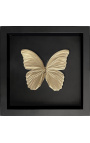 Decorative frame on black background with gold-colored "Morpho Didius" butterfly