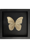 Decoratief frame op zwarte achtergrond met goudkleurig Morpho Didius vlinder