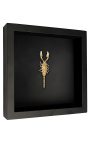 Decorative frame on black background with gold-colored "Heterometrus spinifer" scorpion