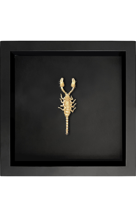 Moldura decorativa em fundo preto com escorpião dourado "Heterometrus spinifer"