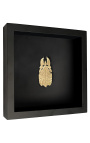 Decorative frame on black background with golden stick insect "Phyllium Celebicum"