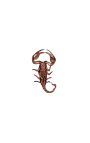 Decoratieve frame op zwarte achtergrond met koper-gekleurd "Heterometrus spinifer" scorpion