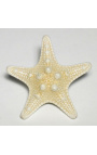 Starfish bajo globo de cristal