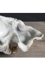 Cloïssa Tridacna Blanca - Talla M