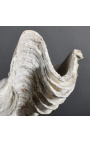 Valge Tricdana Clamshell - suurus M