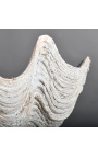 Clam Tridacna Branco - Tamanho G