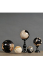 Set of 5 Petrified Wood Balls (fossilized)