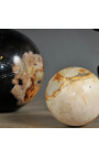 Conjunto de 5 Bolas de Madeira Petrificada (fossilizadas)