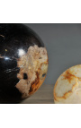 Sæt med 5 Petrified Wood Balls (fossiliseret)