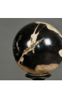 Set di 5 sfere di legno pietrificato (fossili)