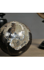 Conjunto de 5 Bolas de Madeira Petrificada (fossilizadas)
