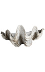 Valge Tricdana Clamshell - suurus M