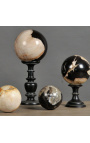 Juego de 5 bolas de madera petrificadas (fosilizada)