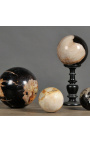 Набор из 5 окаменевших деревянных шаров (окаменелых)