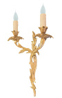 Nástenná lampa z bronzových akantových listov Ľudovíta XV