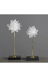 Set di 2 stelle in selenite su base in marmo nero