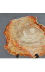 Fossiliseret træ på mat sort metal støtte - Størrelse M