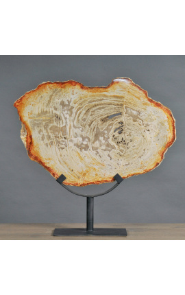 Legno fossilizzato su supporto metallico nero opaco - Taglia L