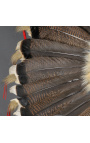 Sioux chief's headdress from America
