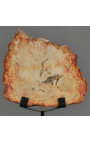 Madera fosilizada en soporte de metal negro mate - Talla S