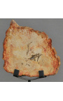 Legno fossilizzato su supporto in metallo nero opaco - Taglia S