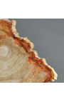 Fossilisiertes Holz auf mattschwarzem Metallträger - Größe M