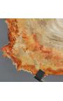 Legno fossilizzato su supporto in metallo nero opaco - Taglia M