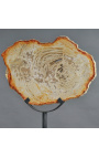 Fossiliseret træ på mat sort metal støtte - Størrelse L