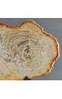 Фосилизирано дърво върху матова черна метална опора - размер L