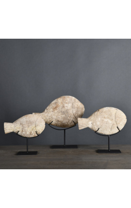 Set di 3 pesci di pietra dall' Indonesia