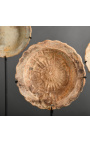Set of 3 small wreckage plates