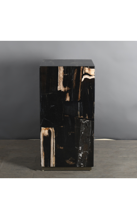Columna dels anys 70 de fusta petrificada negra