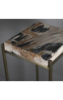 Čtvercový odkládací stolek ve stylu 70. let ze zkamenělého dřeva a kovu v barvě mosazi