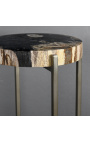 Kulatý odkládací stolek ve stylu 70. let ze zkamenělého dřeva a kovu v barvě mosazi
