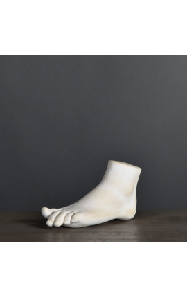 Plaster sculpture of a foot "Pied de Diane"