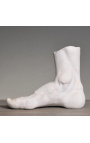 Large plaster sculpture of a 19th century academic foot