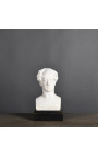 Bust of Chateaubriand in plaster with wooden support