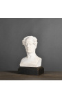 Bust of Chateaubriand in plaster with wooden support