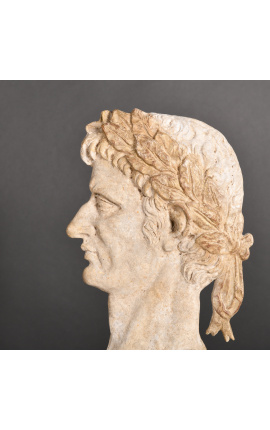 Fabuloso conjunto de 4 bustos de filósofos griegos