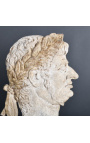 Csodálatos készlet 4 görög filozófus mellszobra