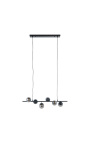 Design chandelier "Liber C" with 6 smoked glass globes
