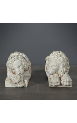 Una favolosa scultura di un paio di leoni italiani