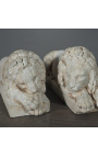 Fabelaktig skulptur av et par italienske løver